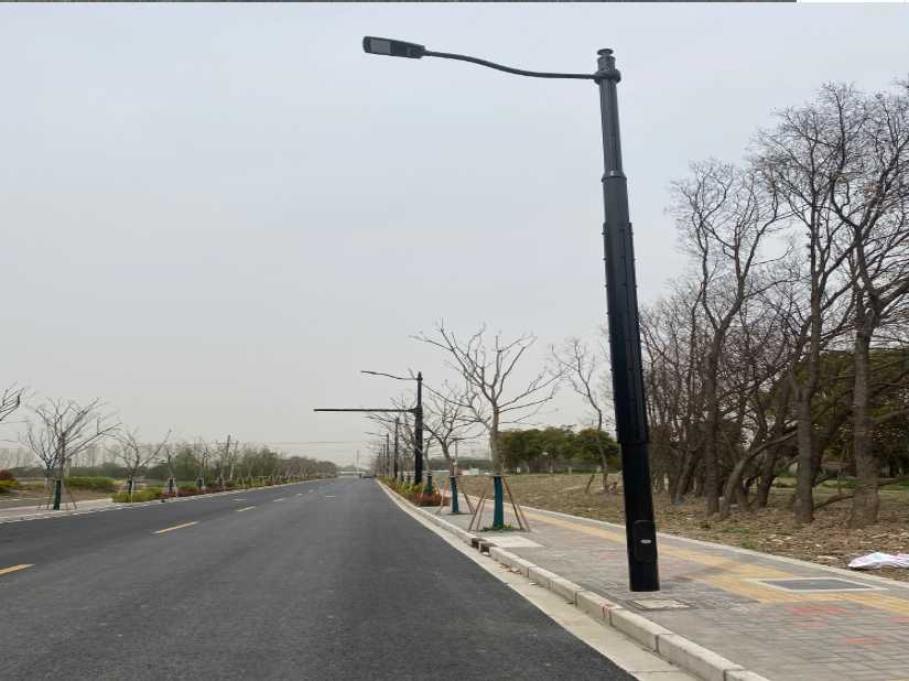 堆龙德庆区上海综合杆 太阳能路灯工程